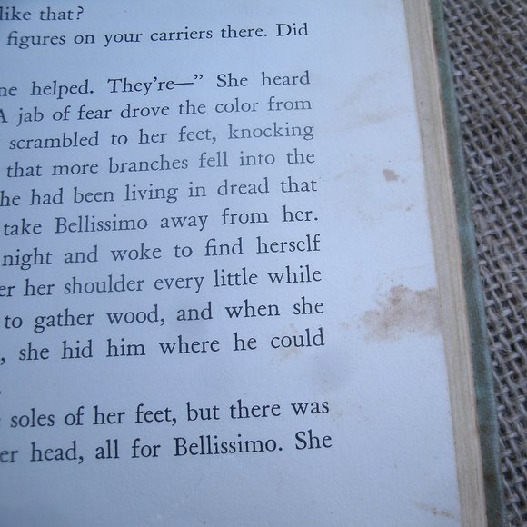 For Love of a Donkey by Betty Morgan Bowen - Picture 13 of 16